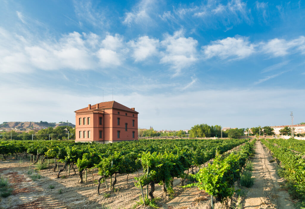 bodegas isidro milagro campoameno